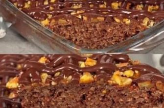 Desert-sanatos-pentru-slabit-cu-fulgi-de-ovaz-cacao-si-banane-fara-gluten-si-fara-zahar
