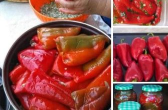 Ardei murați umpluți… Soțul meu spune că sunt mai buni decât cei de restaurant – Așa ceva nu ați încercat! Prea buni!