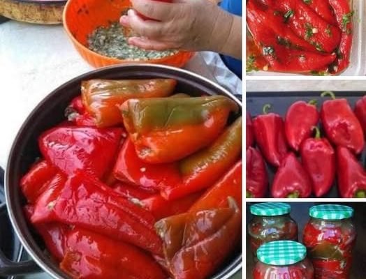 Ardei murați umpluți… Soțul meu spune că sunt mai buni decât cei de restaurant – Așa ceva nu ați încercat! Prea buni!