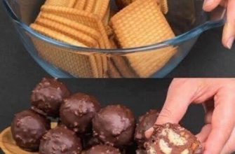 Sunt atât de gustoase și rapide încât le fac de două ori pe săptămână… Fără coacere, bile rapide și delicioase cu biscuiți…