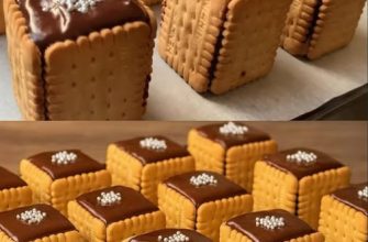 Rețetă de 10 minute pentru CUBURI CU CIOCOLATĂ și biscuiți… Desert rapid și gustos.