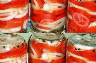 Roșii cu ceapă pentru iarnă