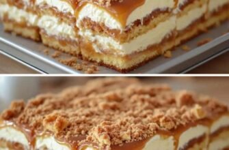 Prăjitura Nurorii Leneșe