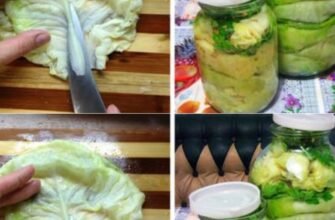 Frunze de varză pentru sarmale la borcan