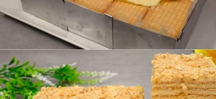 Tort Napoleon simplu și rapid