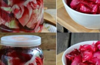 Varză murată provensală