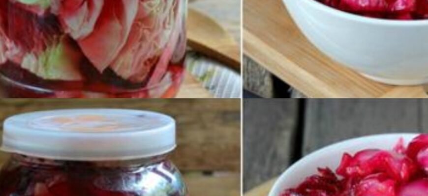 Varză murată provensală