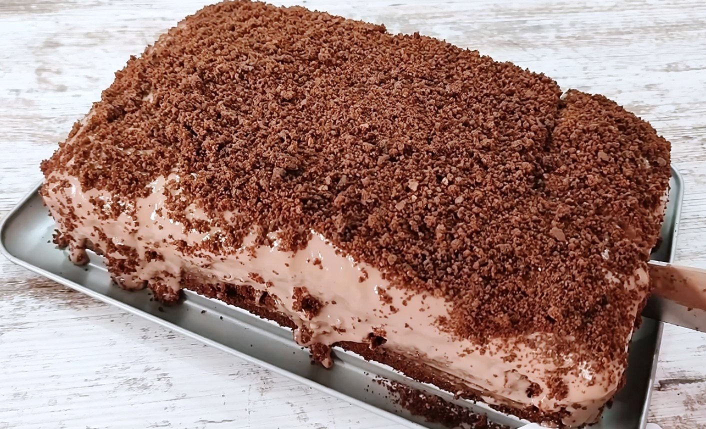 Tortul Vulcan Tortul Vulcan