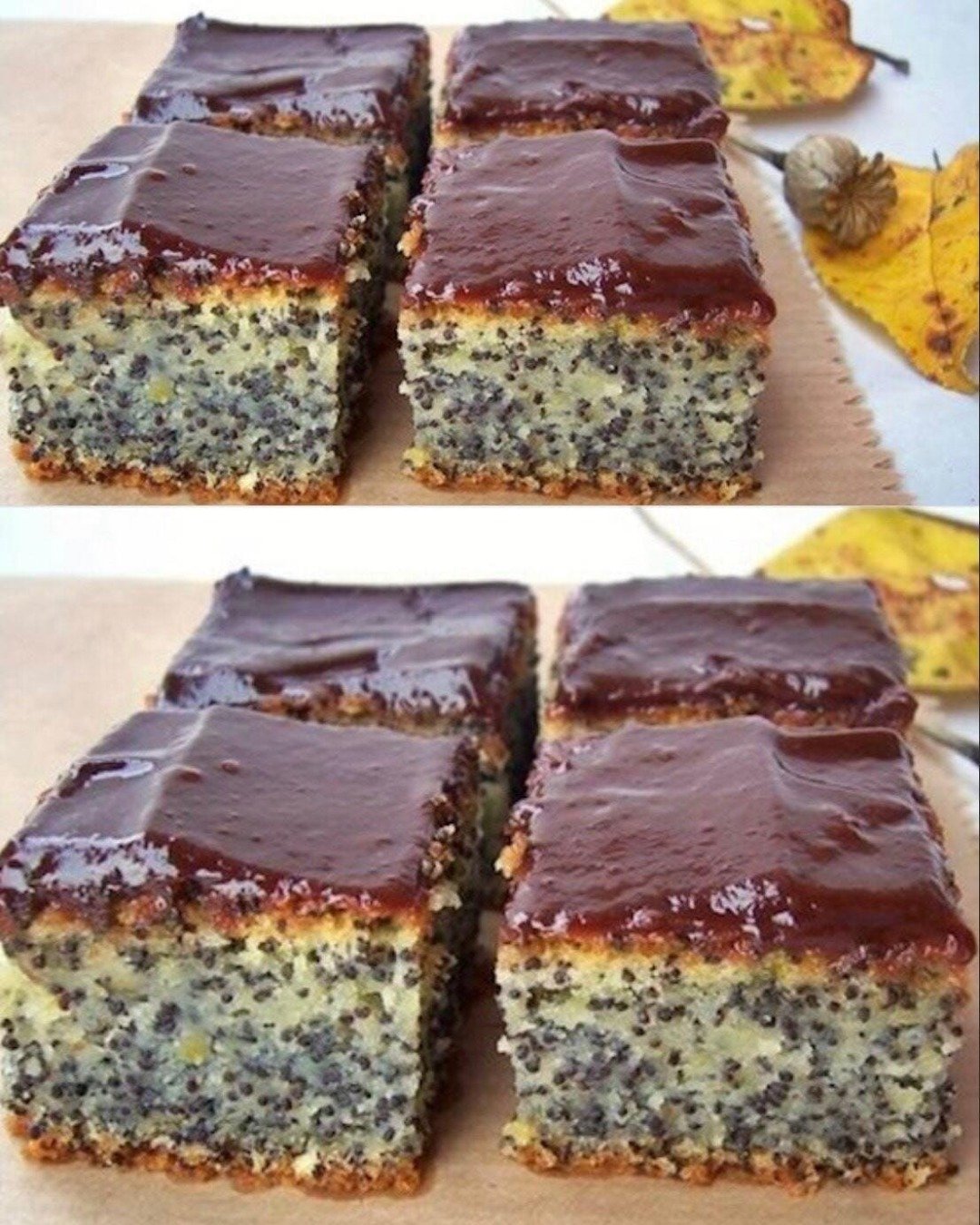 Prăjitură cu mac – măsuri la cană, se mixează în 5 minute și se coace.