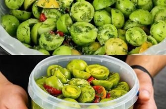 Salată din roșii verzi, delicioasă – îți lingi degetele... Acest secret nu-l spune nimeni...