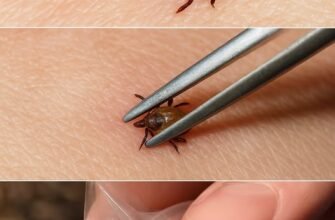 Pădurar cu experiență a împărtășit o metodă simplă pentru