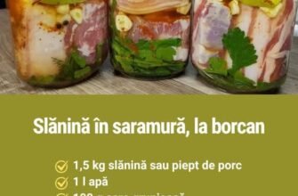 Slănină aromată, în saramură