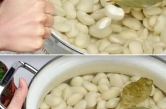 Cum să fierbem fasolea rapid și delicat
