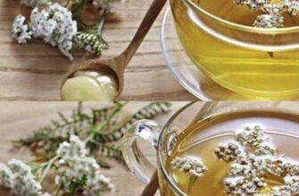 10 ceaiuri din plante medicinale