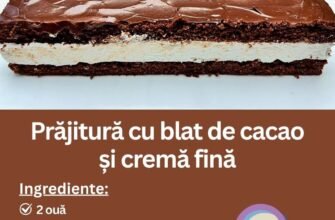 Prăjitură cu blat de cacao și cremă fină