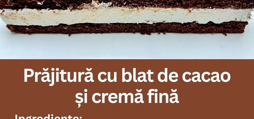 Prăjitură cu blat de cacao și cremă fină