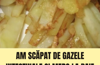 Am scăpat de gazele intestinale și merg la baie de trei ori pe zi. 5 obiceiuri simple care ameliorează constipația.