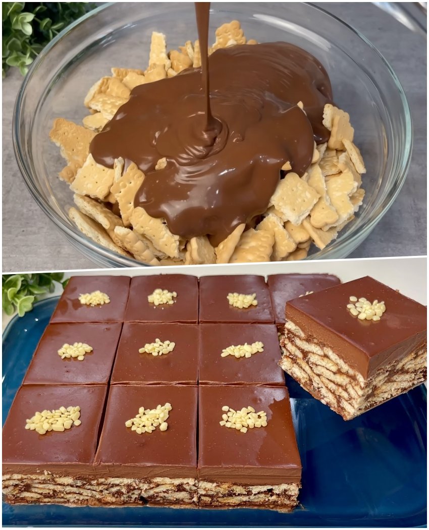 Prăjitură cu biscuiți și ciocolată fără coacere Prăjitură cu biscuiți și ciocolată fără coacere