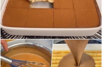 Desert cu pișcoturi și cremă de ciocolată, fără coacere