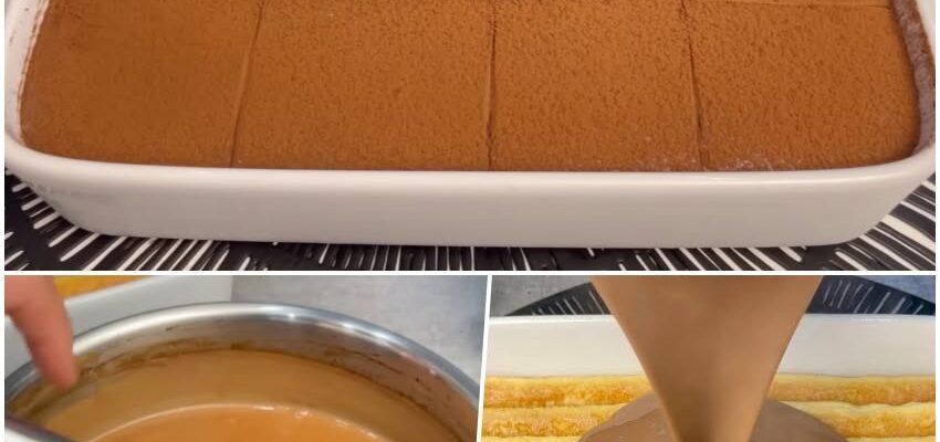 Desert cu pișcoturi și cremă de ciocolată, fără coacere
