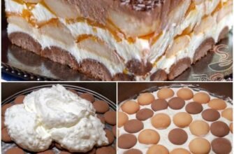 Prăjitură cremoasă cu fructe și pișcoturi