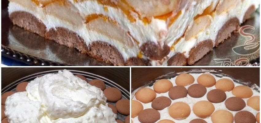 Prăjitură cremoasă cu fructe și pișcoturi