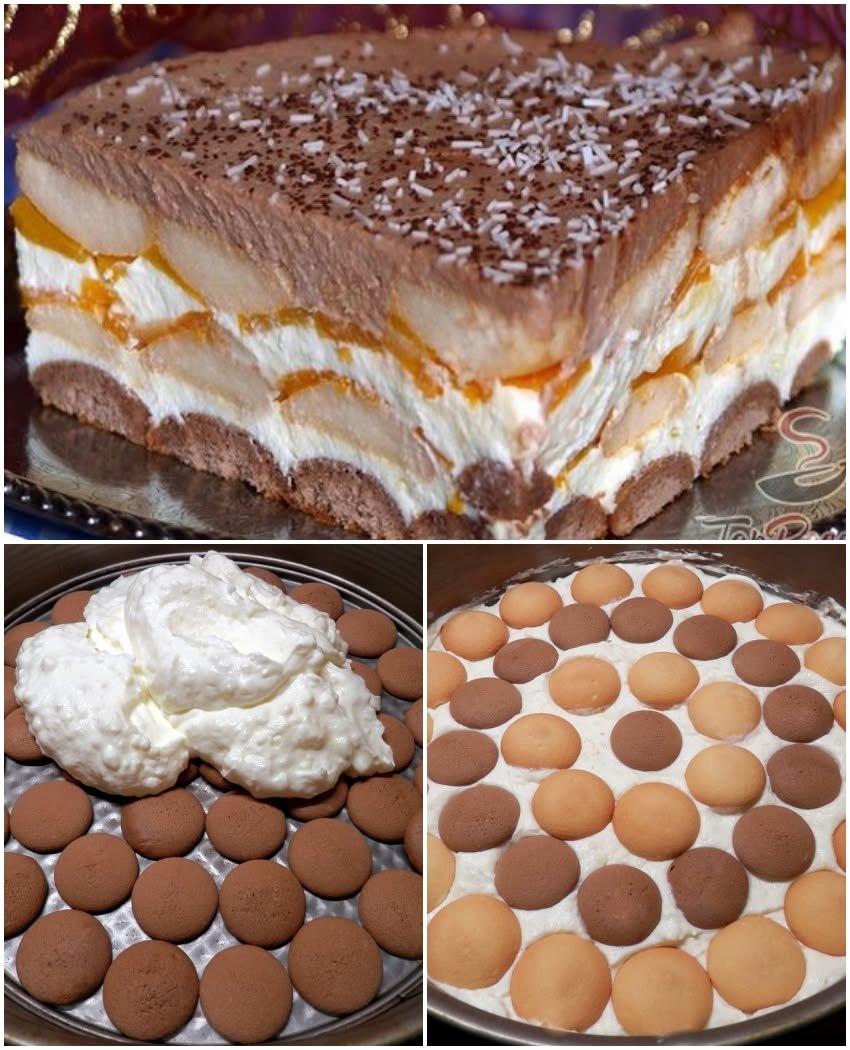 Prăjitură cremoasă cu fructe și pișcoturi