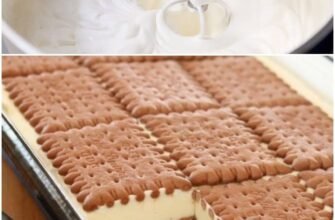 Prăjitură fără coacere, cu biscuiți și brânză dulce