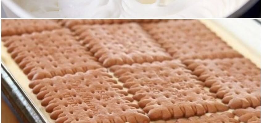 Prăjitură fără coacere, cu biscuiți și brânză dulce