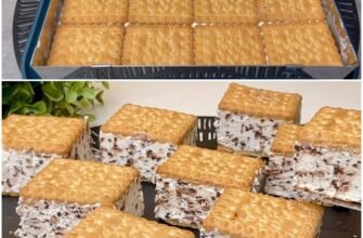 Prăjitură fără coacere cu biscuiți și cremă de mascarpone
