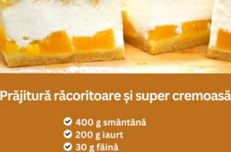 Prăjitură răcoritoare și super cremoasă