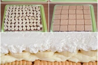 🍪⏱️ Prăjitură rapidă cu biscuiți și trei creme 🍫